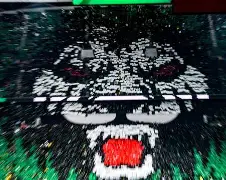 北京国安送走2大外援