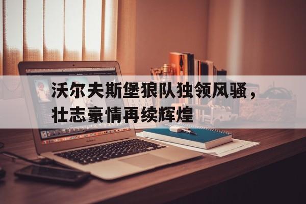 沃尔夫斯堡球迷